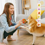 Balle intelligente pour animaux de compagnie