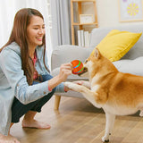Balle intelligente pour animaux de compagnie