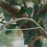 Écarteur de Branches d'Arbres Fruitiers(40pcs)