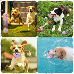 Balle intelligente pour animaux de compagnie