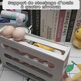 Support de stockage d'œufs à quatre niveaux