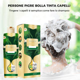 Shampooing de Bulles pour Coloration des Cheveux