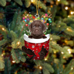Ornement de Chien Mignon en Forme de Chaussette de Noël