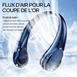 Ventilateur Portable Vent Fort