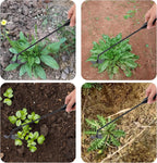 Outil d'arrachage de mauvaises herbes pour le jardin