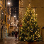 Guirlande LED de Noël étanche avec télécommande à 8 modes