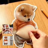 Autocollant anti-collision Shiba Inu dodu