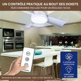 Ventilateur de plafond LED 2 en 1 avec télécommande, base E27E26/B22