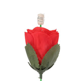 Accessoires de magie Rose flamboyante
