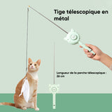 Peigne multifonctions pour animaux de compagnie