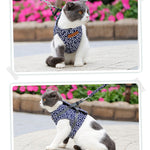 Veste de Harnais et Laisse pour Chat