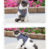 Veste de Harnais et Laisse pour Chat