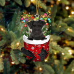 Ornement de Chien Mignon en Forme de Chaussette de Noël