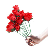 Accessoires de magie Rose flamboyante