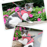 Veste de Harnais et Laisse pour Chat