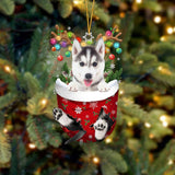 Ornement de Chien Mignon en Forme de Chaussette de Noël
