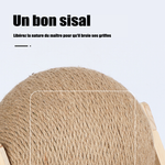Griffoir Chat en Bois Massif avec Boule à Rouler Sisal