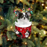 Ornement de Chien Mignon en Forme de Chaussette de Noël