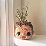 Cadeau de mini jardinière de jardinière de film d'horreur