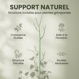 Tuteurs pour Plantes en Forme de Branche