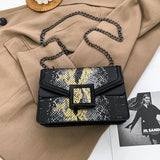 Sac Vintage Carré à Chaîne