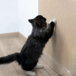 Tapis à gratter pour chats