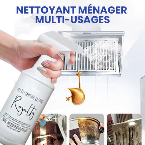 Nettoyant ménager polyvalent