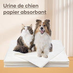 Papier absorbant pour animaux de compagnie