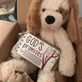 Livre cadeau pour bébé