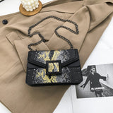 Sac Vintage Carré à Chaîne