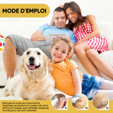 Spray de soin pour la peau des animaux