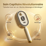 Peigne de massage électrique brumisateur à coussin d’air