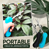 Ciseaux de Jardinage Portatifs à Bouts Pointus