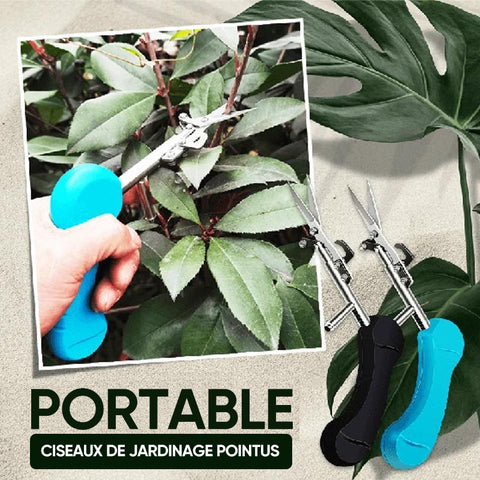 Ciseaux de Jardinage Portatifs à Bouts Pointus