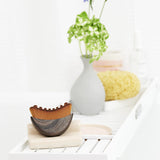 Brosse lymphatique pour le corps