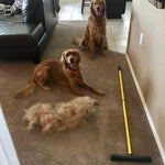 Balai d'élimination des poils d'animaux