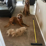 Balai d'élimination des poils d'animaux