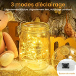 Guirlande lumineuse blanche chaude 2 m