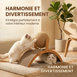 Balle Griffoir pour Chat sur Support
