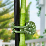 Support orchidée Phalaenopsis