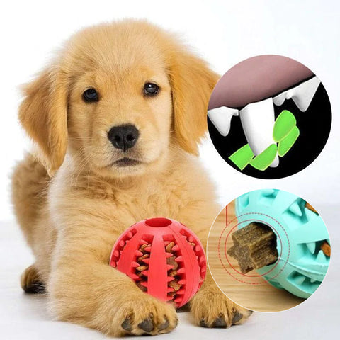 Balle en caoutchouc à mâcher pour chien