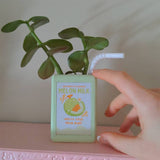 Jardinière en carton de jus de fruit