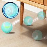 Cache-cache chat taquin