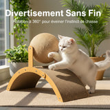 Balle Griffoir pour Chat sur Support