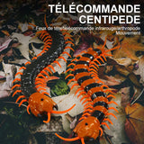 Jouet de Taquin pour Chat Centipede Electrique