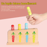 Bâton de jeu rebondissant lapin