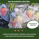 Sac de Protection pour Fruits (100 PCS)