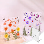 Cadre photo transparent en acrylique