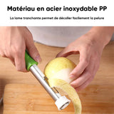 Dénoyauteur de fruits en acier inoxydable