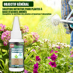Solution nutritive pratique pour plantes
